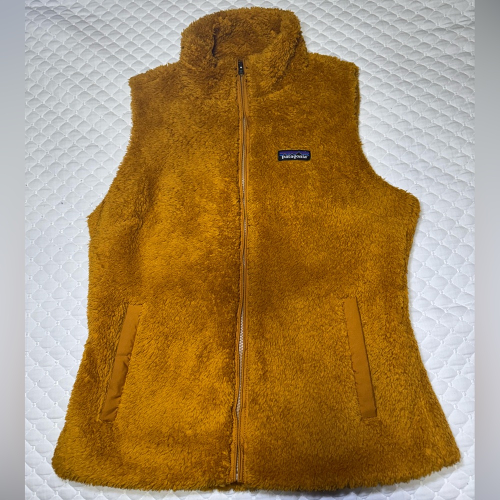 New! Patagonia Vest